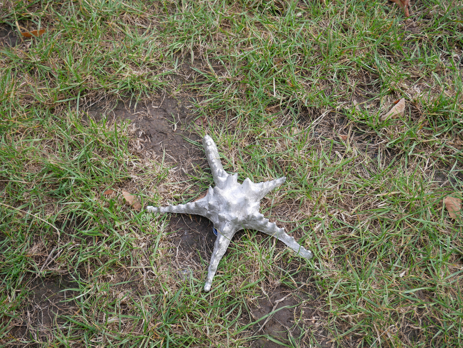 Burgess Park Sculpture Garden